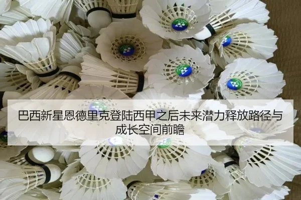 巴西新星恩德里克登陆西甲之后未来潜力释放路径与成长空间前瞻